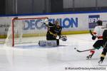 Photo hockey match Rouen - Chamonix  le 19/11/2024