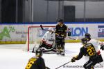 Photo hockey match Rouen - Chamonix  le 19/11/2024