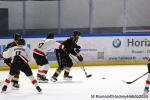 Photo hockey match Rouen - Chamonix  le 19/11/2024