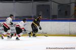 Photo hockey match Rouen - Chamonix  le 19/11/2024