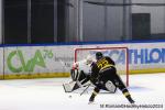 Photo hockey match Rouen - Chamonix  le 19/11/2024