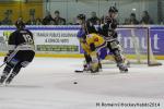 Photo hockey match Rouen - Dijon  le 24/01/2014