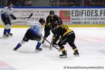 Photo hockey match Rouen - Gap  le 13/10/2024