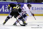 Photo hockey match Rouen - Grenoble  le 17/01/2015