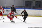 Photo hockey match Rouen - Grenoble  le 03/01/2025