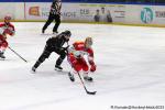 Photo hockey match Rouen - Grenoble  le 03/01/2025