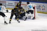 Photo hockey match Rouen - Marseille le 18/10/2024