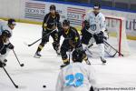 Photo hockey match Rouen - Marseille le 18/10/2024