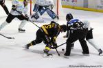 Photo hockey match Rouen - Marseille le 18/10/2024