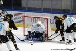 Photo hockey match Rouen - Marseille le 18/10/2024