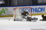 Photo hockey match Rouen - Marseille le 18/10/2024