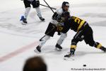 Photo hockey match Rouen - Marseille le 18/10/2024