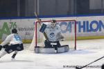 Photo hockey match Rouen - Marseille le 24/11/2024