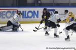 Photo hockey match Rouen - Marseille le 24/11/2024