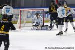 Photo hockey match Rouen - Marseille le 24/11/2024