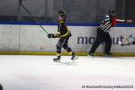 Photo hockey match Rouen - Marseille le 24/11/2024