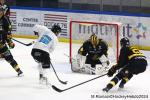 Photo hockey match Rouen - Marseille le 24/11/2024