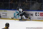 Photo hockey match Rouen - Marseille le 24/11/2024