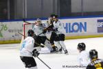 Photo hockey match Rouen - Marseille le 24/11/2024