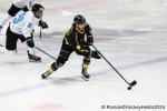 Photo hockey match Rouen - Marseille le 24/11/2024