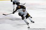 Photo hockey match Rouen - Marseille le 24/11/2024