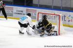 Photo hockey match Rouen - Marseille le 24/11/2024