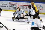 Photo hockey match Rouen - Marseille le 24/11/2024