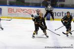 Photo hockey match Rouen - Marseille le 24/11/2024