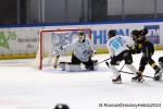 Photo hockey match Rouen - Marseille le 24/11/2024