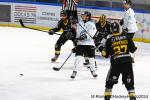 Photo hockey match Rouen - Marseille le 24/11/2024