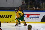Photo hockey match Rouen - Tampere le 18/10/2023