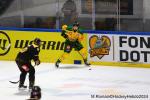 Photo hockey match Rouen - Tampere le 09/10/2024