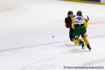 Photo hockey match Rouen - Tampere le 09/10/2024