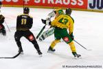 Photo hockey match Rouen - Tampere le 09/10/2024