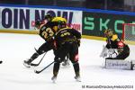 Photo hockey match Rouen - Tampere le 09/10/2024