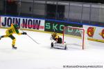 Photo hockey match Rouen - Tampere le 09/10/2024