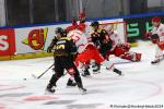 Photo hockey match Rouen - Trinec le 08/09/2024