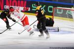 Photo hockey match Rouen - Trinec le 08/09/2024