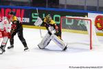 Photo hockey match Rouen - Trinec le 08/09/2024