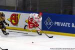 Photo hockey match Rouen - Trinec le 08/09/2024