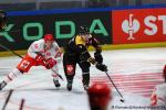 Photo hockey match Rouen - Trinec le 08/09/2024