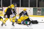 Photo hockey match Strasbourg  - Rouen le 04/01/2011