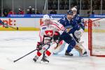 Photo hockey match Switzerland - Finland le 17/12/2023