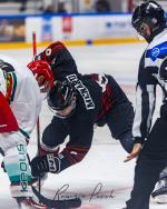 Photo hockey match Toulouse-Blagnac - Anglet II le 19/10/2024