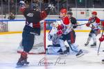 Photo hockey match Toulouse-Blagnac - Annecy le 02/11/2024