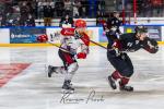 Photo hockey match Toulouse-Blagnac - Annecy le 02/11/2024