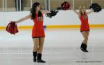 Photo hockey match Toulouse-Blagnac - Lyon le 17/03/2012