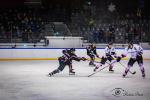 Photo hockey match Toulouse-Blagnac - Poitiers le 22/01/2022