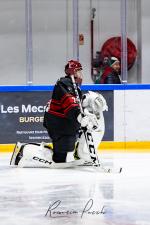 Photo hockey match Toulouse-Blagnac - Roanne le 21/12/2024