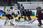 Photo hockey match Toulouse-Blagnac - Roanne le 21/12/2024